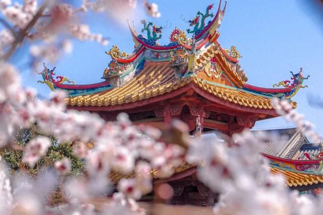 惊蛰丨春雷落运河，细雨入水乡，寻梦台儿庄