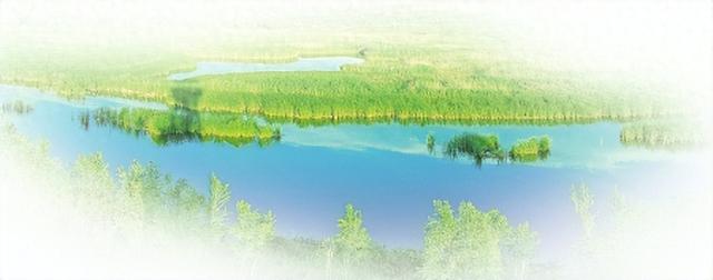 双璧辉映 舒展黄土高原最美的生态画卷