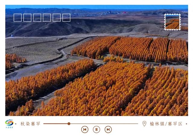 北疆文化 遇鉴赛罕 | 秋染赛罕明信片上线！快来“云”赏秋