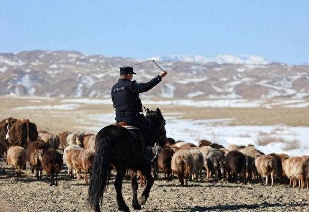 月薪8000留不住人，牧民靠万亩草场维生，新疆的上限下限超乎想象