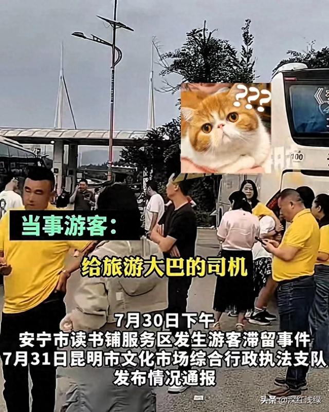云南文旅天塌了！高端团130人被弃服务区6小时，不是钱的事