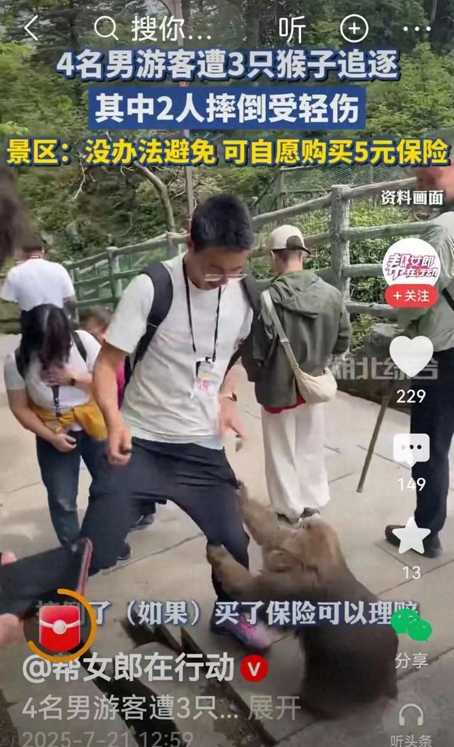 峨眉山猴子伤人频现，工作人员竟说“没办法”？游客怒了！