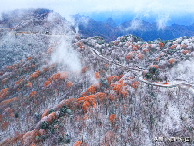 旺苍初冬红叶如画 山色斑斓引客来