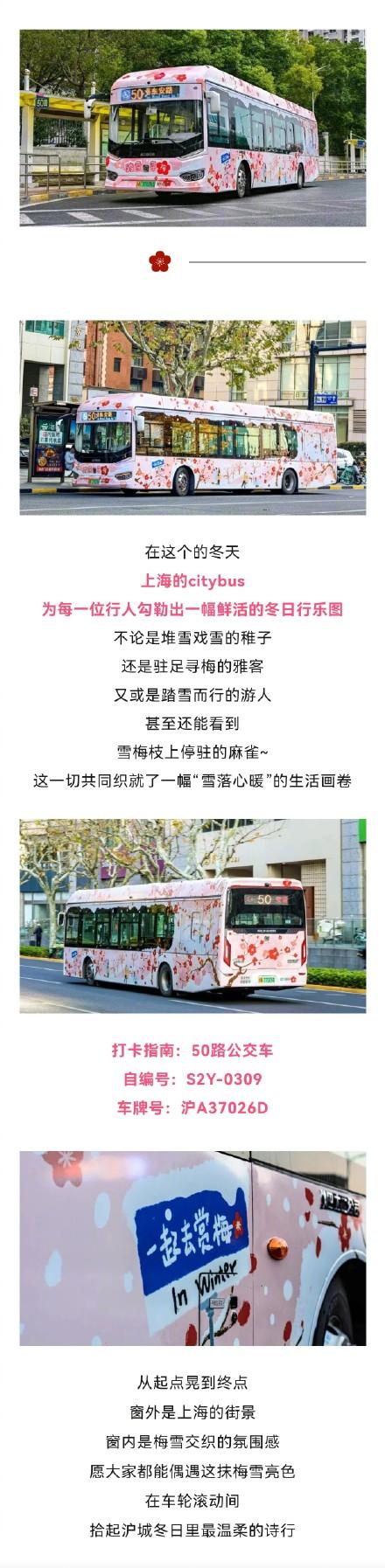 马路上的流动美景！上海公交50路Citybus换上粉嫩新装