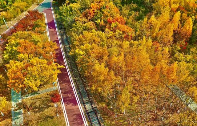 秋之彩色吉林 | 长春深藏一片“工业金秋”