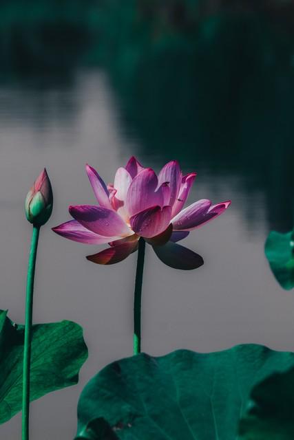 两性关系：牢牢记住这五个真相	，哪怕熬过再难的日子也能相守到老