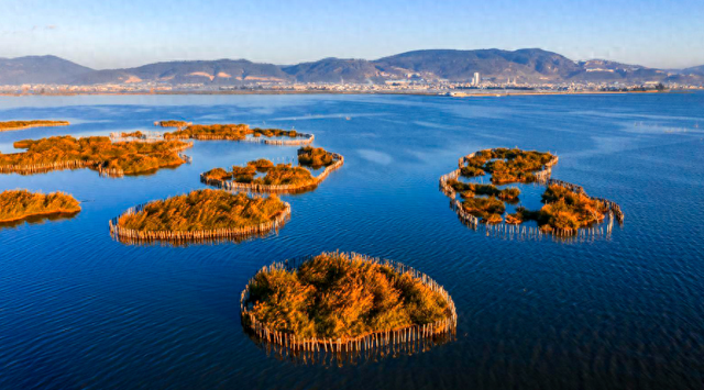 杞麓湖的初冬，藏着最温柔的治愈时光