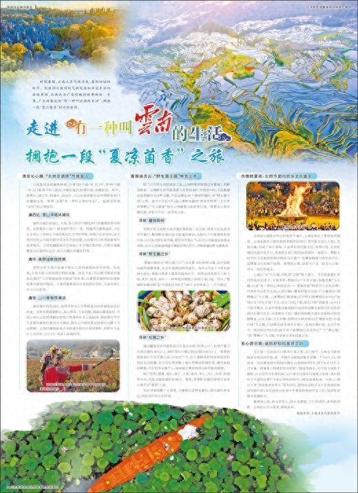 走进“有一种叫云南的生活”  拥抱一段“夏凉菌香”之旅