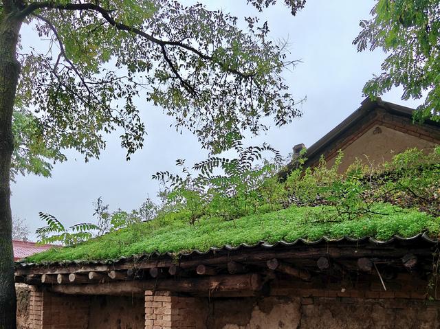 我从哪里来，又要去哪儿