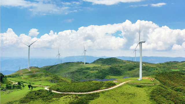 舍得草场：风车与云海间，尽是“天苍苍”的辽阔