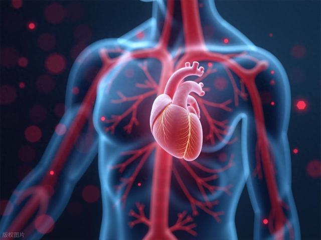 中国科学发现男性需要比女性更多运动，才能获得相同心脏益处