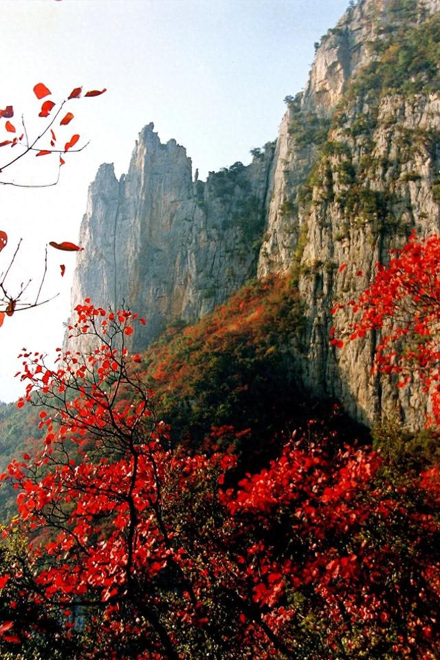 湖北有礼 | 免费领门票！打卡三峡红叶季，赴柴埠溪、百里荒金秋浪漫之约