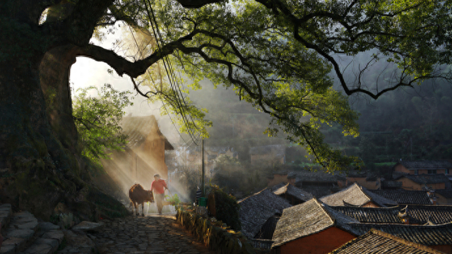 一手牵传统、一手向未来，松阳凭什么“热”力全开？