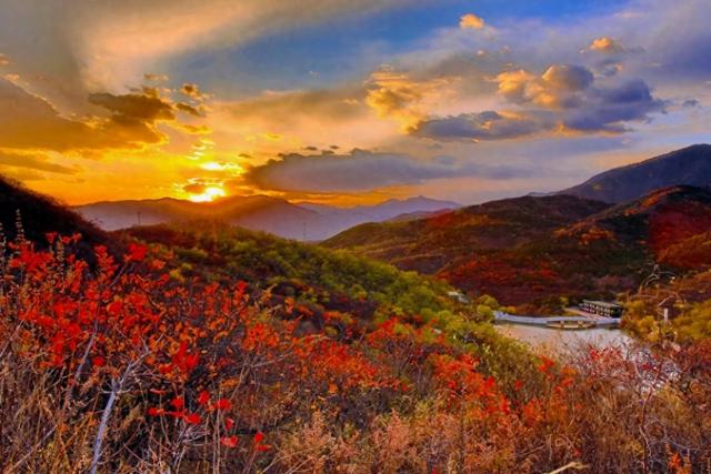 北京西山国家森林公园：“双红”交织绘就秋日文旅新图景