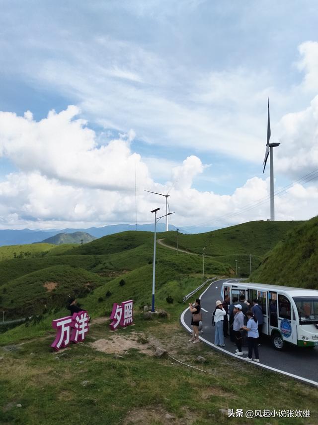 张效雄 万洋山：绿色神韵