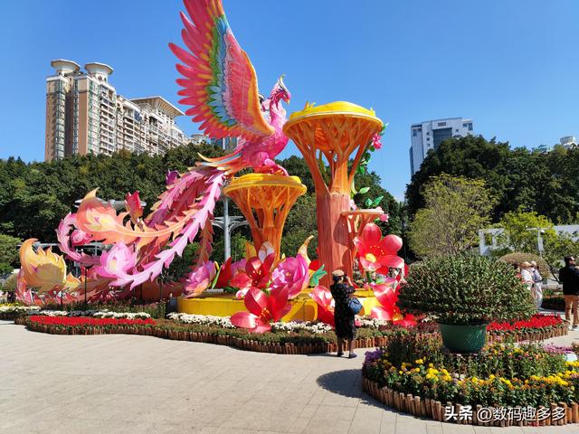 广州66届羊城菊花展，快来看打卡攻略