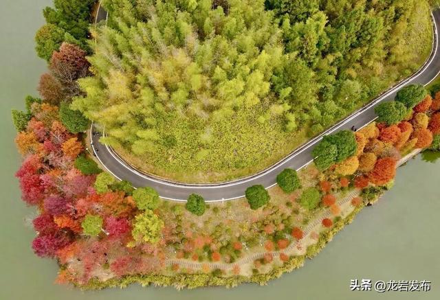 龙岩周末去哪儿｜秋的余温，藏在龙岩这些地方→