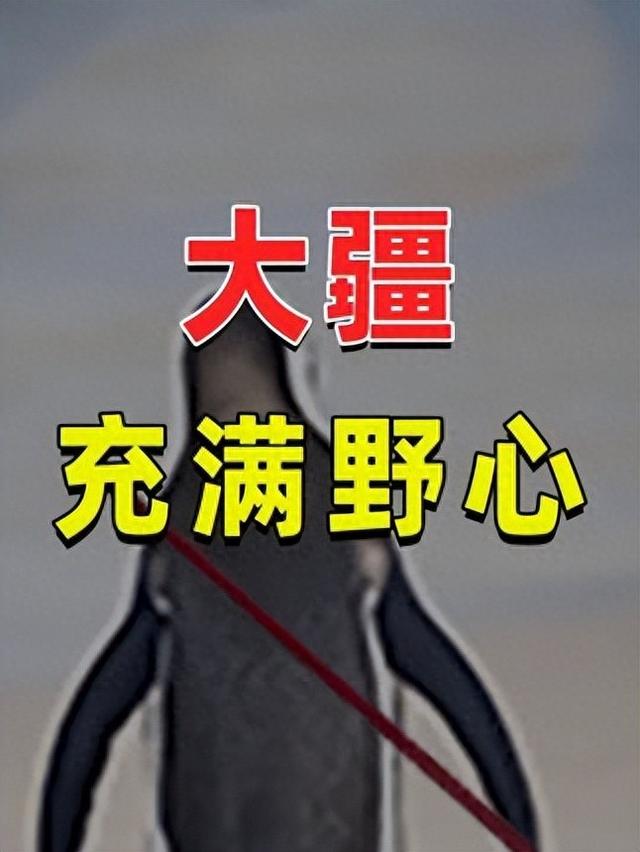 大疆本次降价是 “自杀式操作”？错！让对手连进场的勇气都没有