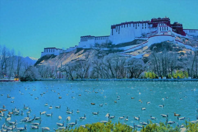 春满雪域！西藏七地市的春日盛景已如约而至