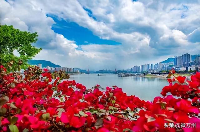 明天，万州在济宁有大动作！
