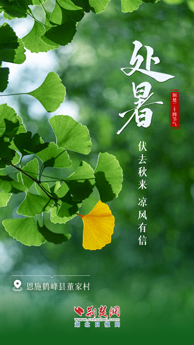 文化中国行