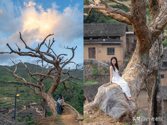 走遍浙江古村落，为了看一棵枯树，我骑行一千公里来了两趟松阳