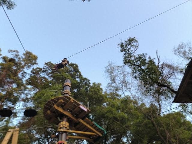 风穿林叶绳渡树间 龙岗园山这片营地邀您体验“飞檐走壁”