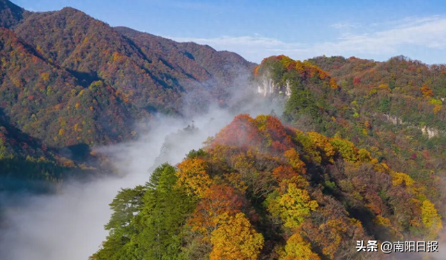 南召五朵山：邀您共赴秋日仙境之约