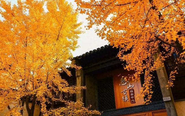 突然全黄了！无锡人注意！