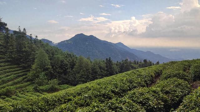 美国制裁失效？中俄蒙“铁三角”加速成型，蒙古国成了最大变量