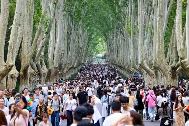 前方记者来报！这是今天的钟山风景区