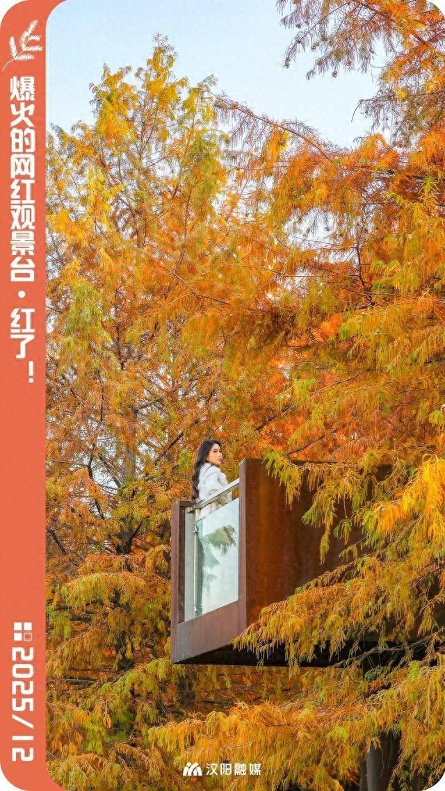 爆火机位！汉阳这个阳台，红了！