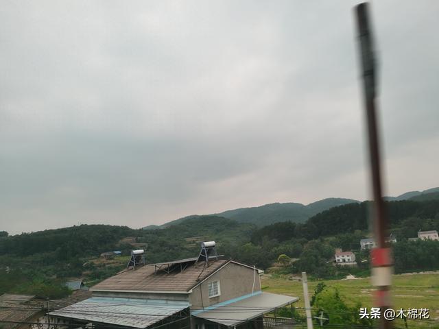 携宠出行第三天