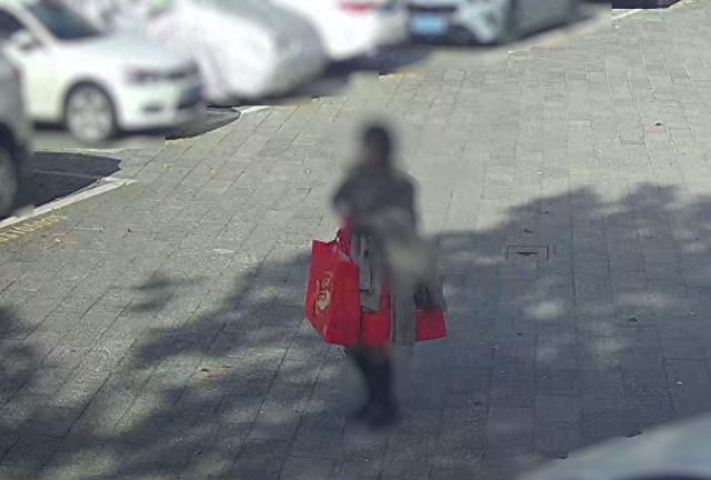 浙江一女子取出300万公司年底分红	，放进一辆黑色无牌轿车，警方一路追击，两辆警车一前一后将车辆成功拦截	，当场抓获2名嫌疑人