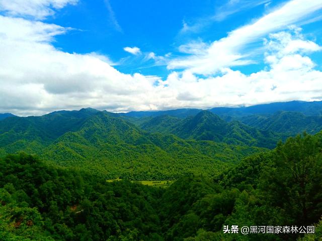 五一宝藏旅行地！2h直达秦岭天然森林氧吧
