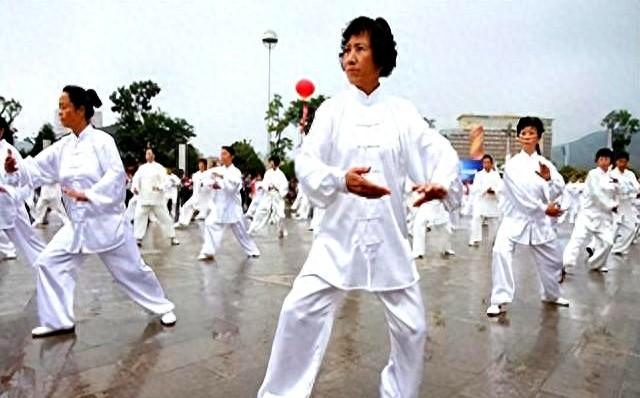 太极拳这个式，有人竟然要学三年。你学多久？