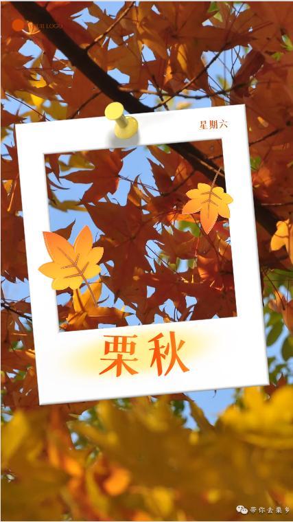 因为你游戏攻略栗秋（栗秋）
