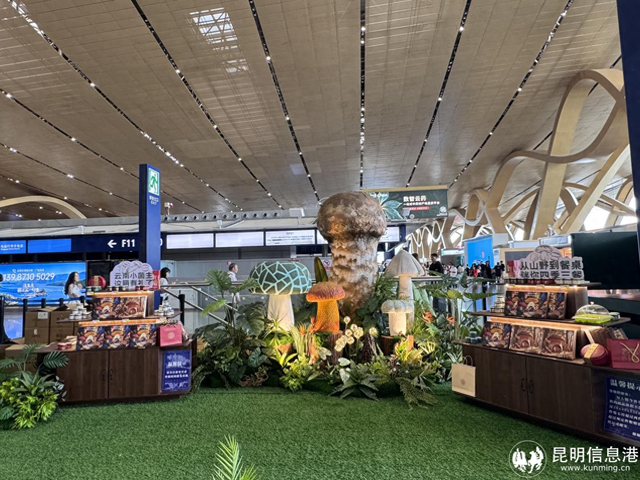 昆明长水机场有“菇”事，邀你解锁舌尖上的奇妙之旅