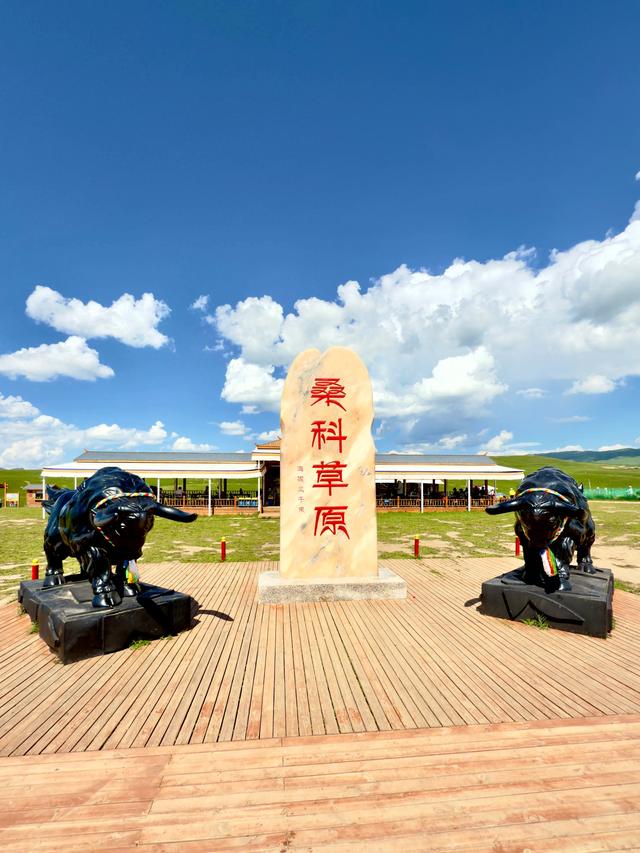 绿野寻梦（甘南州夏河县桑科草原）