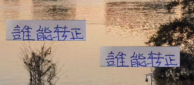 明年转正谁概率大？是北京国安拉米罗 还是前申花球员陈涛