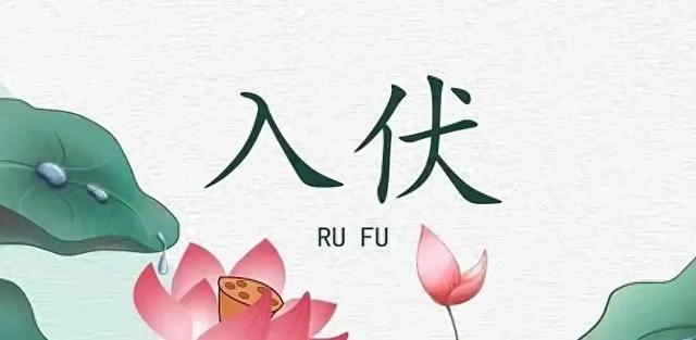 7月20号入伏，不出意外，今年三伏天将出现这6个现象，与往年不同