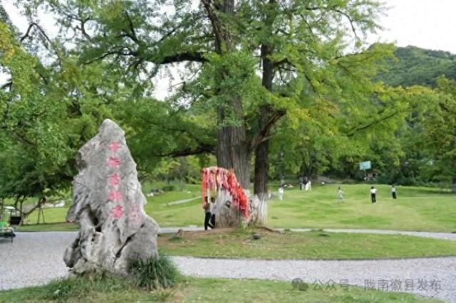 徽县嘉陵镇田河村露营烧烤营地成为新网红打卡地