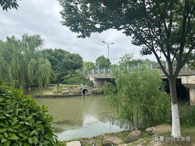 余杭记行9，何母桥
