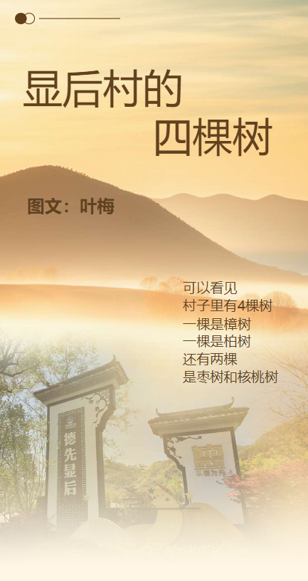 显后村：一个作家的采访掠影