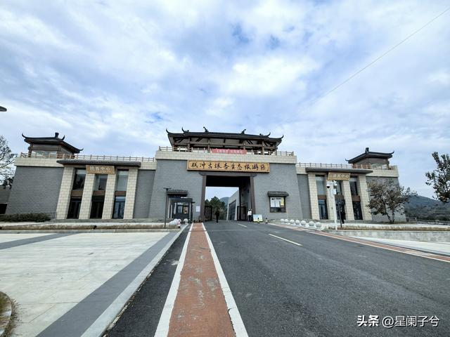 冬日，兄弟一同看古银杏（二）