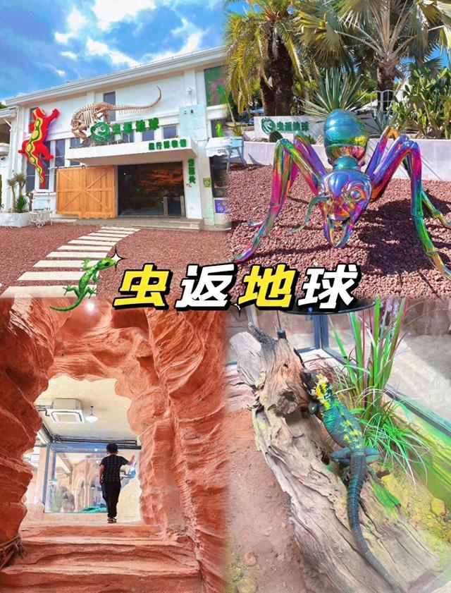 厦门园博苑虫返地球博物馆，这是一座沉浸式活体昆虫主题博物馆