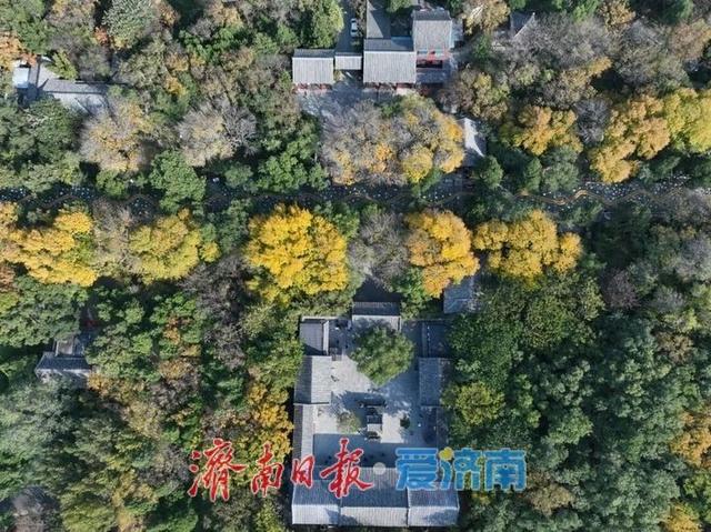 快来打卡公园景区秋色图鉴