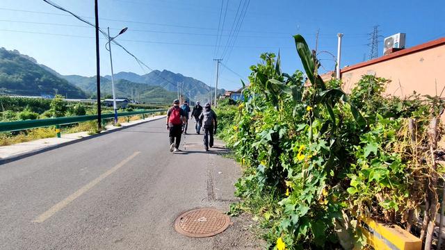 长峪村五峰山后山行记