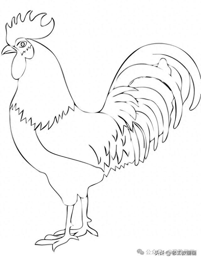 鸡怎么画（原来画公鸡）