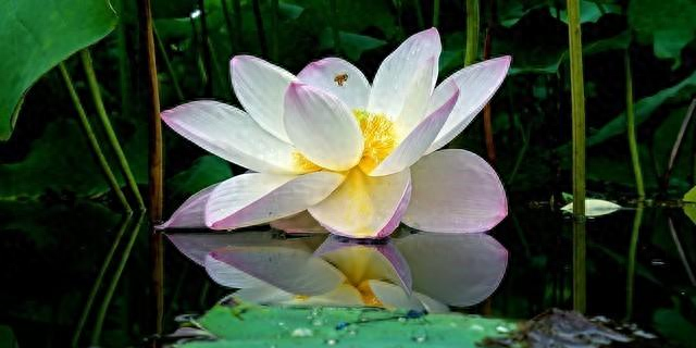 过了50岁，尽量不要让身边的亲人“借运”，避免让自己晚景凄凉